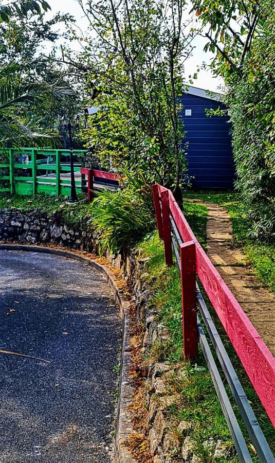 Palm Cottage Redruth Buitenkant foto